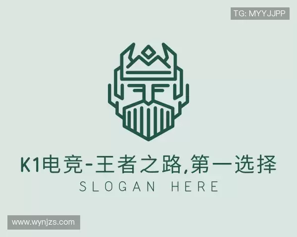 认识k1电竞